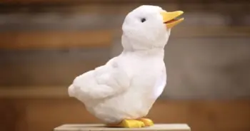 หุ่นยนต์เป็ดน้อย Aflac ช่วยเหลือเด็กป่วยโรคมะเร็ง