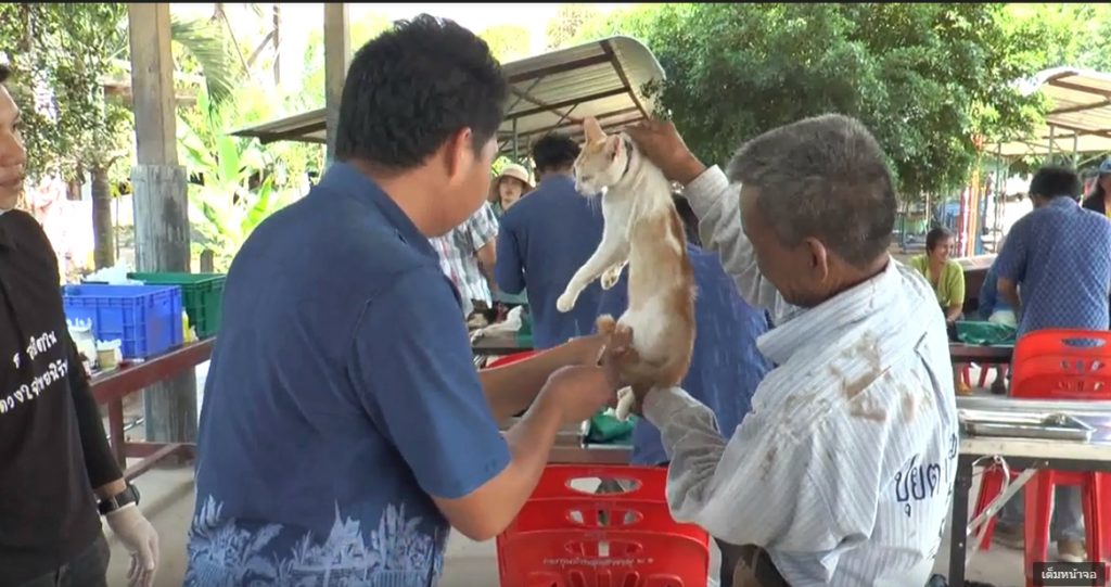 ฉีดวัคซีน 