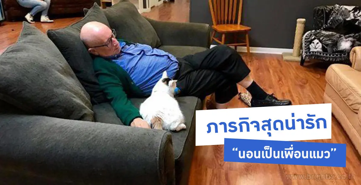 นอนกับแมว