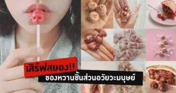 ของหวานชิ้นส่วนอวัยวะมนุษย์