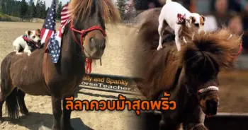 ควบม้า