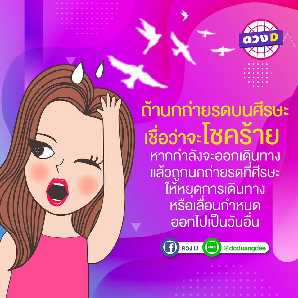 รู้หรือไม่? ถ้า...นกถ่ายรดบนศรีษะจะโชคดี หรือ โชคร้าย? - Bright Today รู้หรือไม่? ถ้า...นกถ่ายรดบนศรีษะจะโชคดี หรือ โชคร้าย? - Bright Today