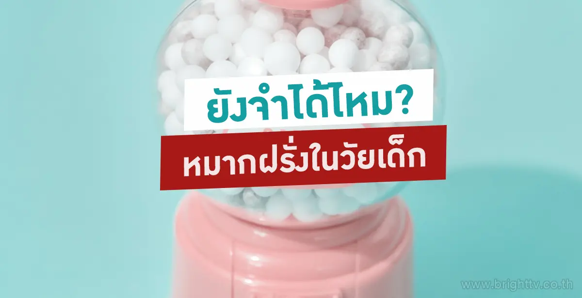 หมากฝรั่งในวัยเด็ก