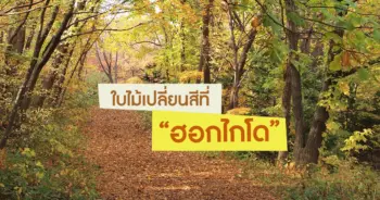 ฮอกไกโด