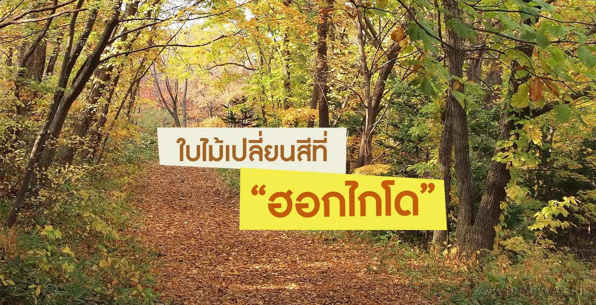 ฮอกไกโด