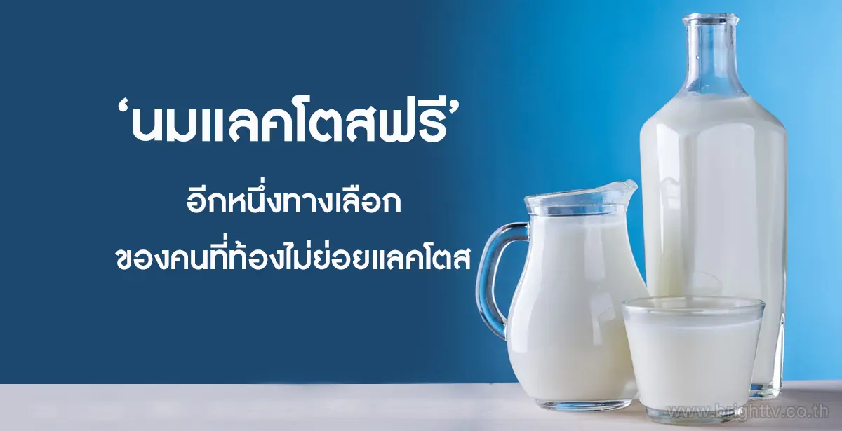 นมแลคโตสฟรี