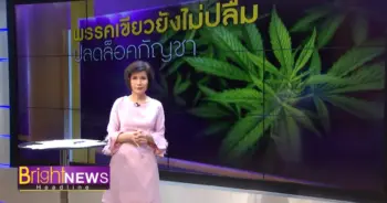 ปลดล็อกกัญชา