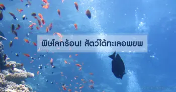 สัตว์ใต้ทะเลอพยพ