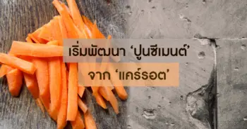 ปูนซีเมนต์ แครอท