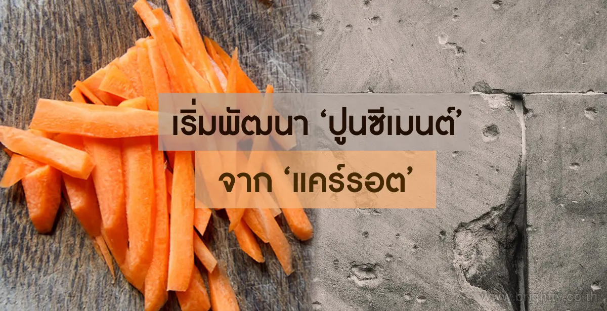 ปูนซีเมนต์ แครอท
