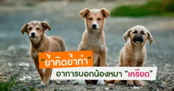 พฤติกรรมย้ำคิดย้ำทำ