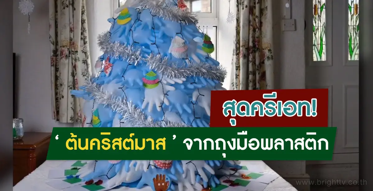 ต้นคริสต์มาส