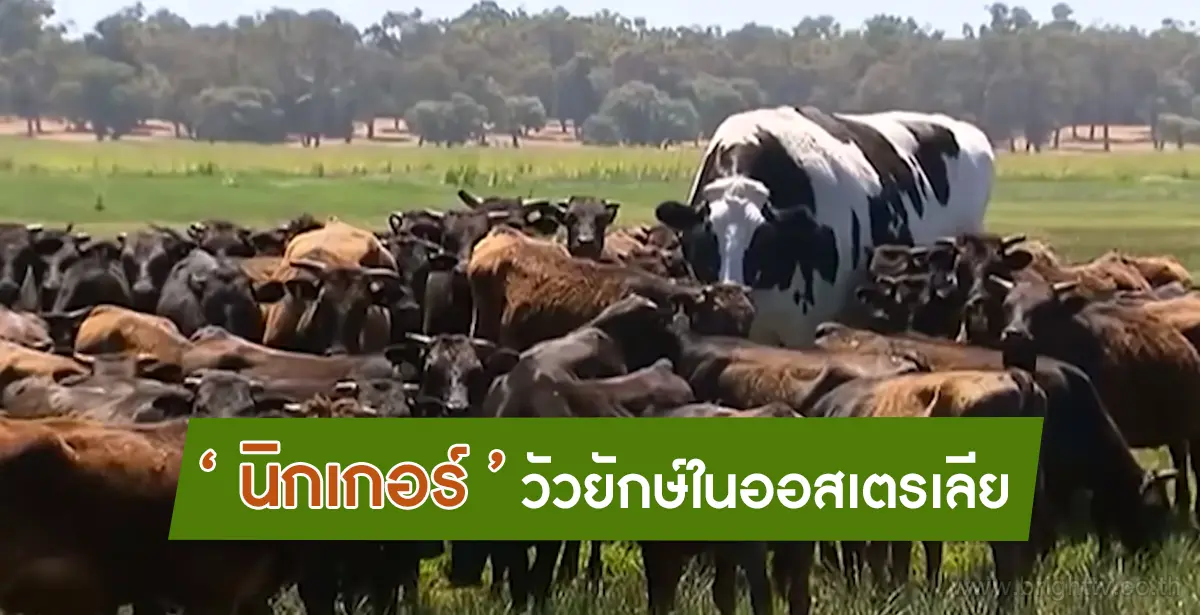 นิกเกอร์