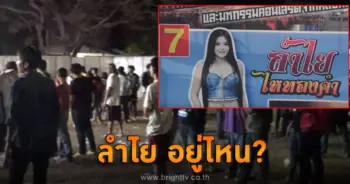 ลำไย ไหทองคำ