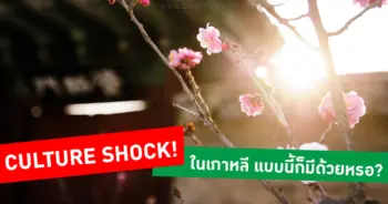 Culture Shock