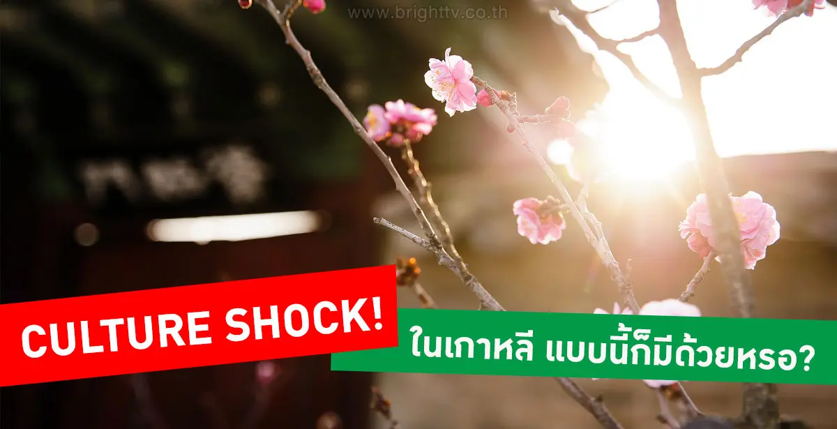 Culture Shock