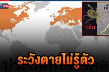 โรคลายม์ ตุรกี