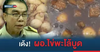 ไข่พะโล้บูด