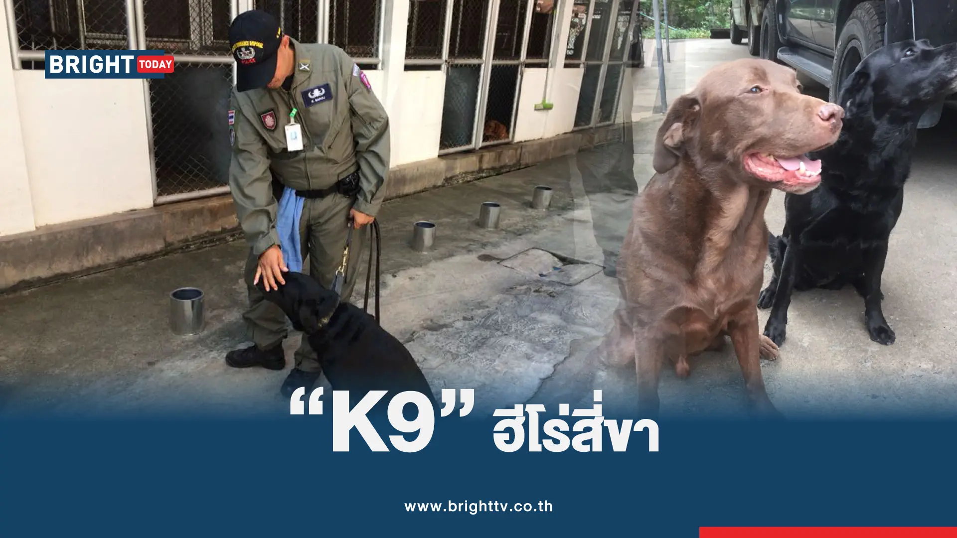 K9