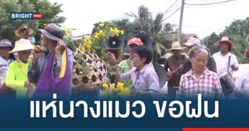 แห่นางแมว