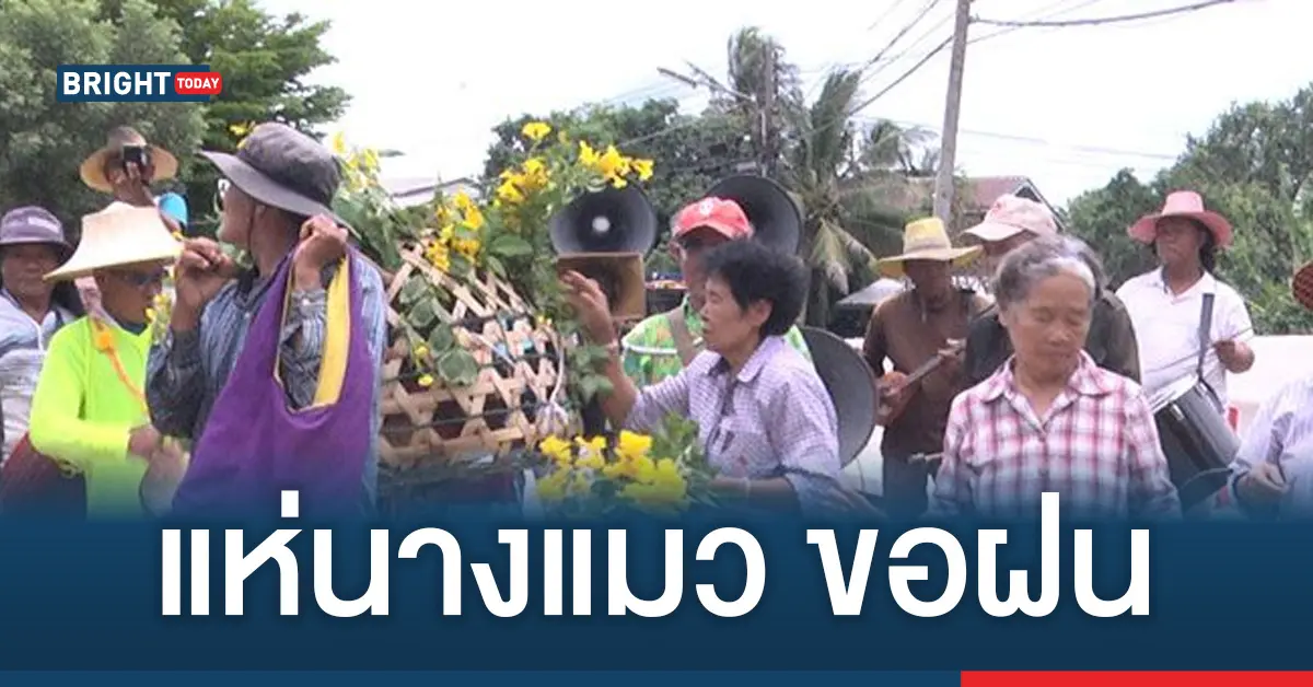 แห่นางแมว