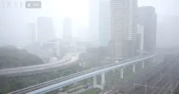 พายุญี่ปุ่นฮากิบิส