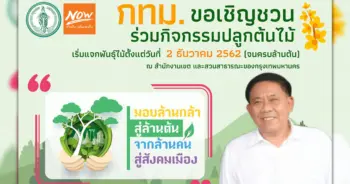 กทม.แจกกล้าไม้ 1 ล้านต้น 2 ธ.ค.นี้2