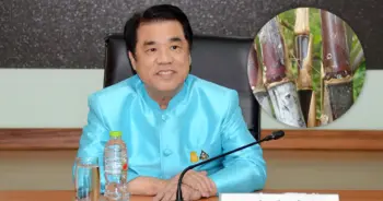 ราคาอ้อยสด