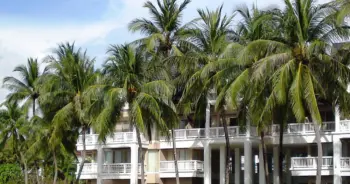 ไวรัสโคโรนา
