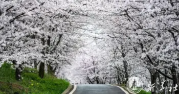 โควิด19