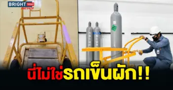 รถเข็นผัก
