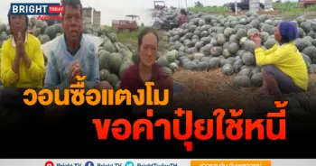 แตงโม