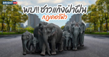 ธรรมชาติฟื้นตัว