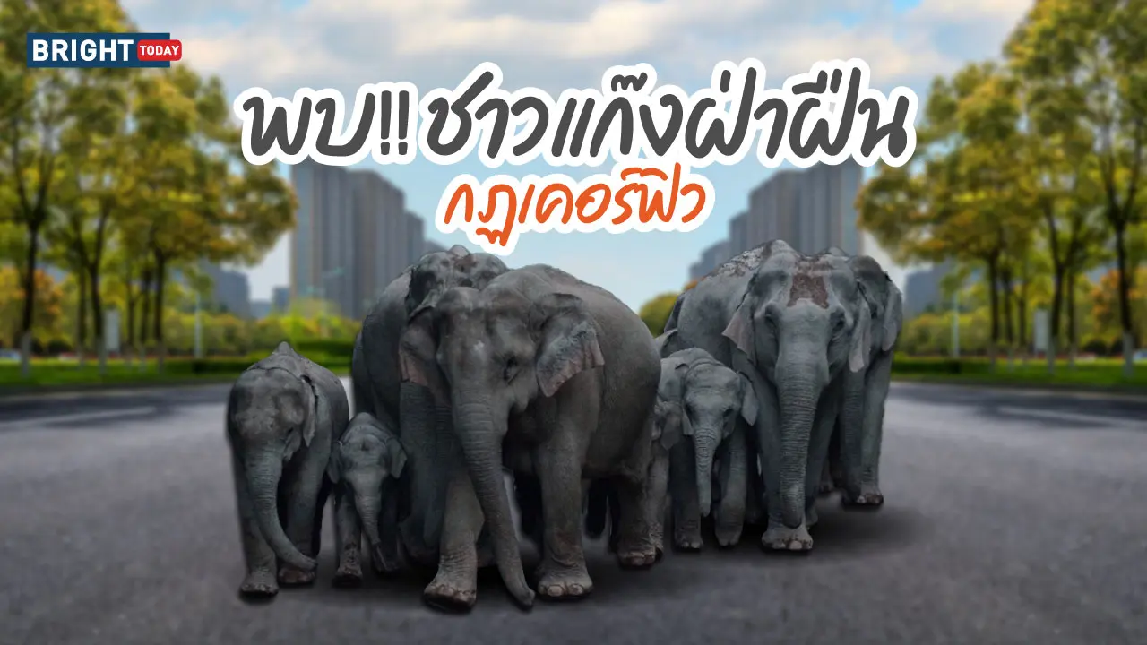 ธรรมชาติฟื้นตัว