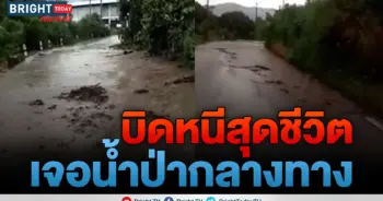 น้ำป่า