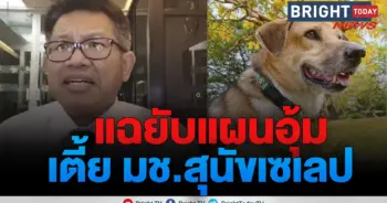 เตี้ย มช.