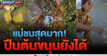 ชมพู่