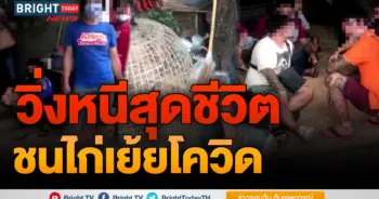 พนันไก่ชน