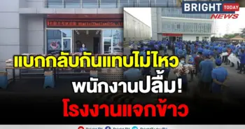 แจกข้าวสาร