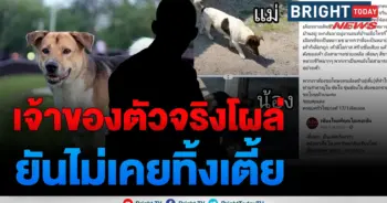 เตี้ยมช.