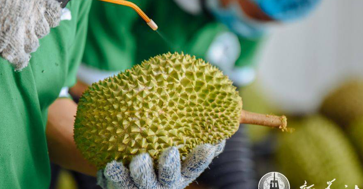 Durian-trade