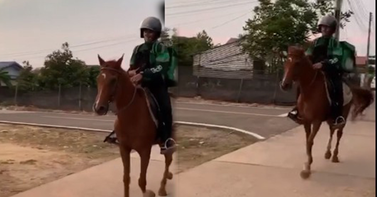 Horse-riding-food-delivery