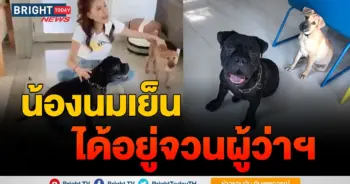 น้องนมเย็น กะเทยตีหมา