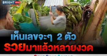 ขอหวย