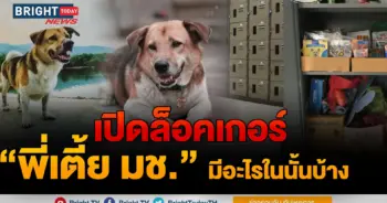 เตี้ย มช.