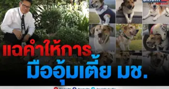 เตี้ยมช.