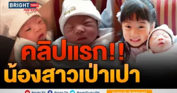 เป่าเป้ย์ เป่าเปา