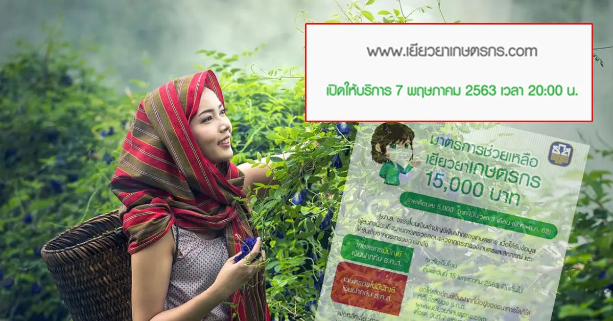 เยียวยาเกษตรกร ลงทะเบียน 7 พค