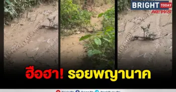 พญานาค
