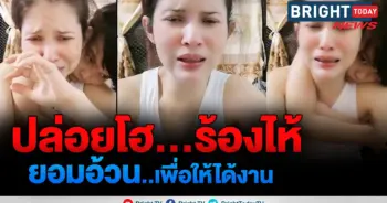 แอนนี่ บรู๊ค